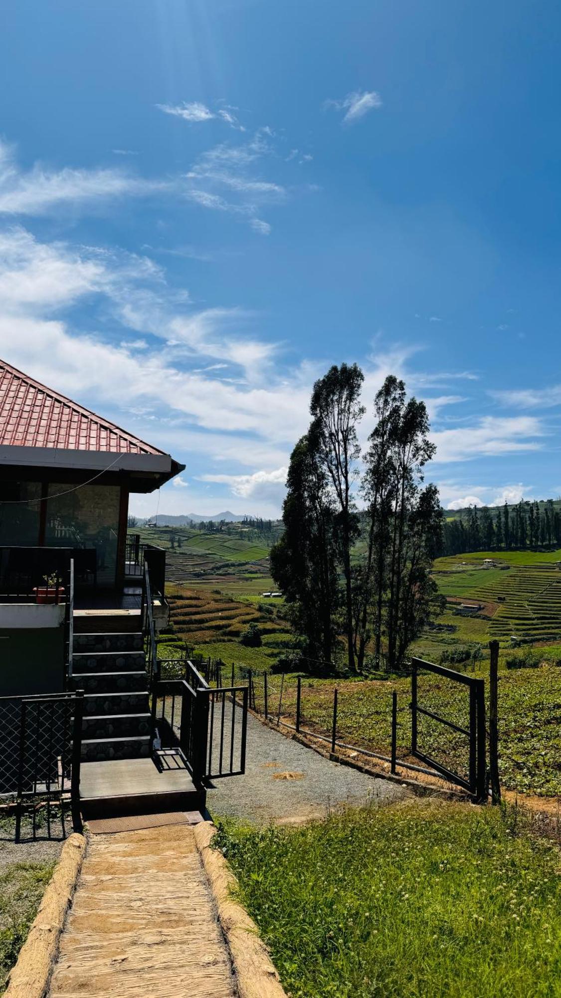 The Wooden Springs Bed and Breakfast Ooty Eksteriør billede
