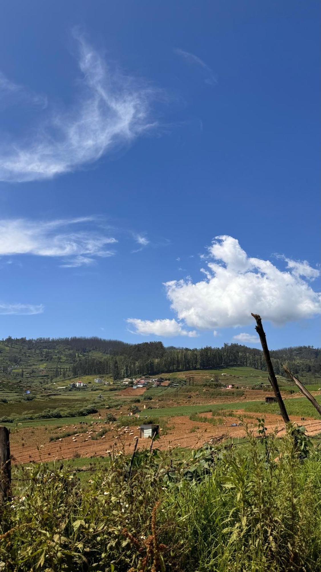 The Wooden Springs Bed and Breakfast Ooty Eksteriør billede